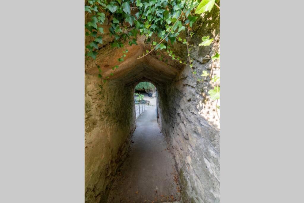 Maison Troglodytique Doue La Fontaine Eksteriør billede